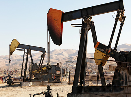 动物血液蛋白粉