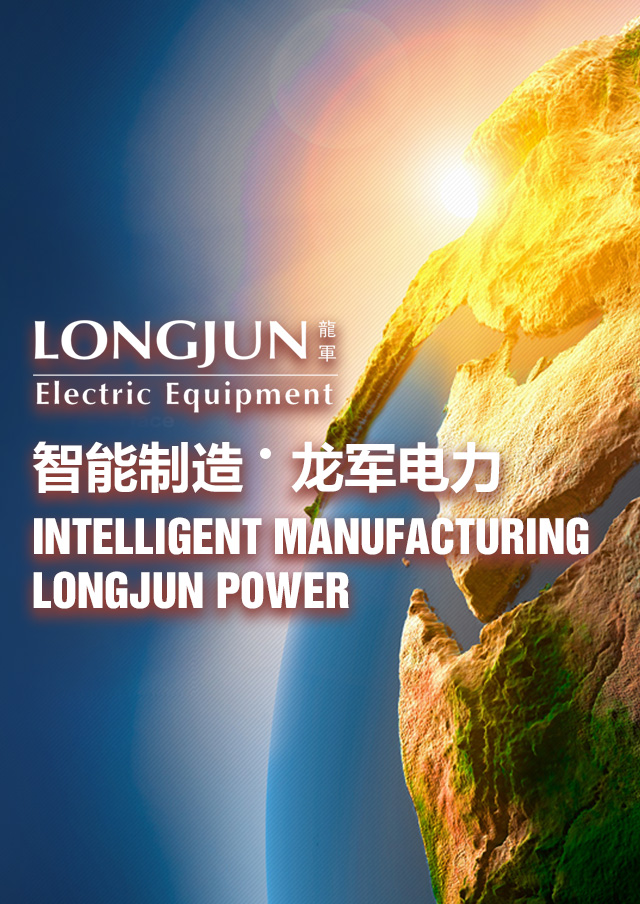 龙军电力